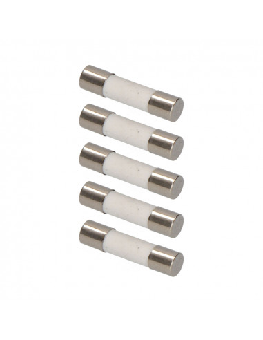 Fusible 5x20mm 6a edm sous emballage (5 unit.)
