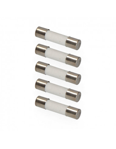 Fusible 5x20mm 10a edm sous emballage (5 unit.)
