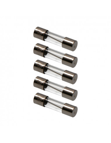 Fusible 5x20mm 16a edm sous emballage (5 unit.)