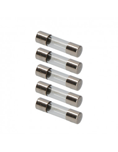 Fusible 6x24mm 10a sous emballage (5 unit.)