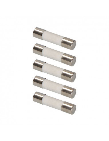 Fusible 5x20mm 2a edm sous emballage (5 unit.)