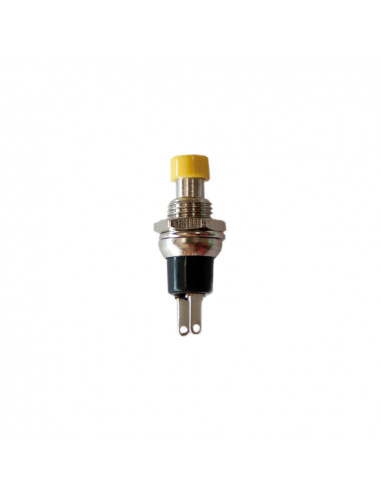 Bouton poussoir 1a 250v