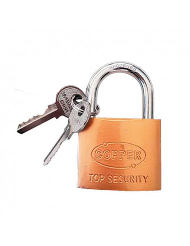 Cadenas 20mm avec 2 clés basic line edm