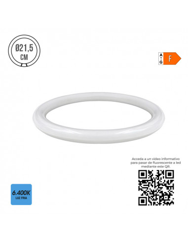 Tube led circulaire g10q 15w 1500lm 6400k lumière froide (eq. 22w) ø21,5cm edm