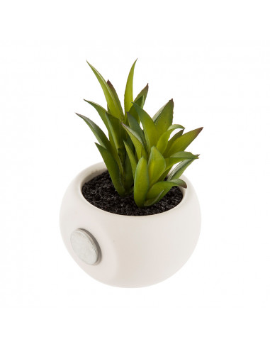 Mini plantes décoratives avec iman assortiments de modèles