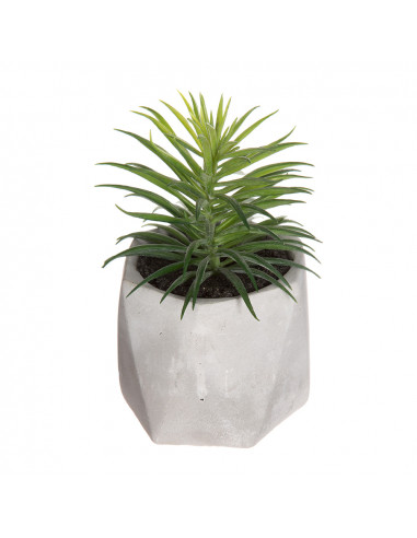 Plante décorative avec pot 7x14cm assortiements de modèles