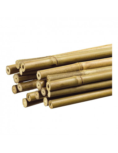 Tuteur décoratif en bambou couleur naturelle ø1,1cm x1,20m nortene