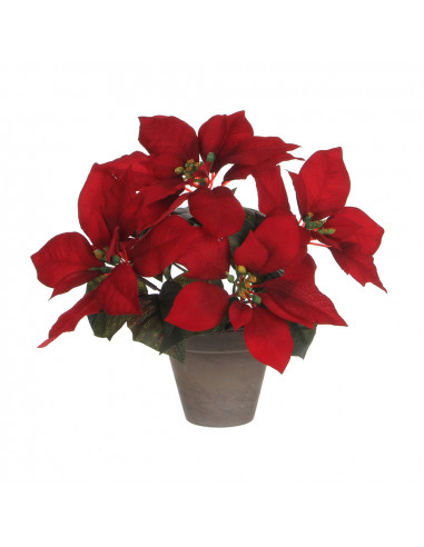 Poinsettia rouge avec pot gris 27x35cm