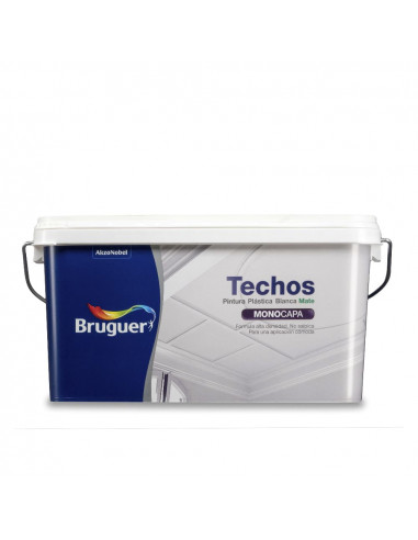 Br wp peinture plafonds 2.5l 5159753 bruguer.