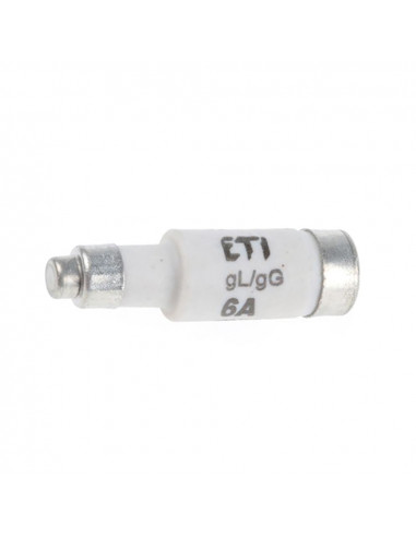 Fusible neozed d01 6a 250v