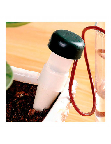 Systeme d'arrosage aquac pots 3+1 cones 7cl/jour blue bird
