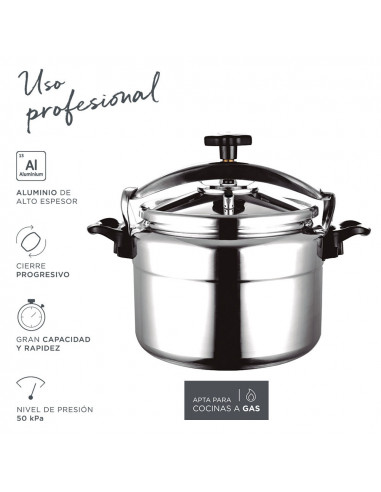 Cuisinière à pression pot chef extremen 22 l fagor ø35x26cm