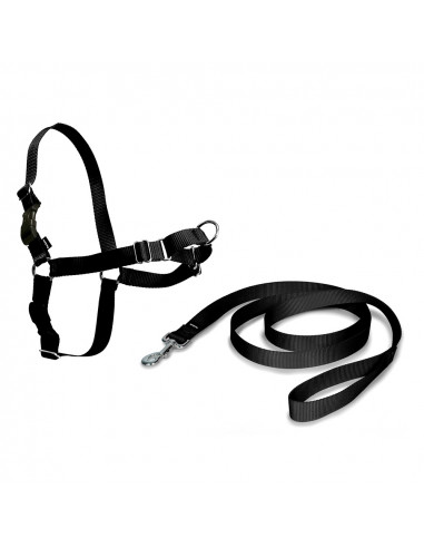 Harnais easy walk modele intermediaire couleur noir.