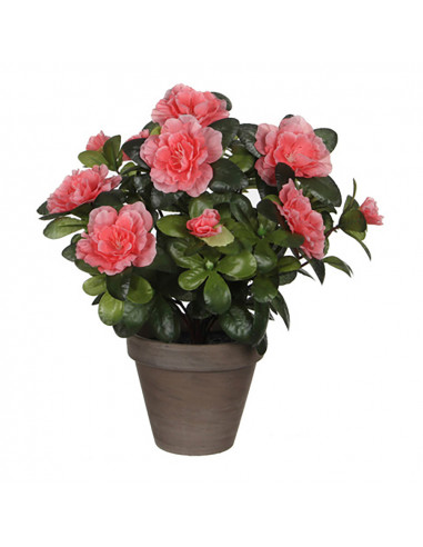 Azalea pêche artificielle en pot gris ø11,5cmx27xø20cm