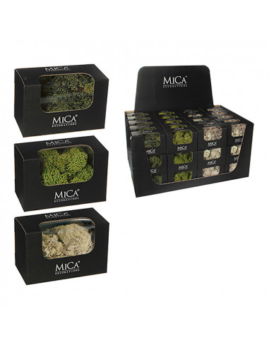 Assortiment de plantes de mousse artificielle. crème, vert. 50gr.
