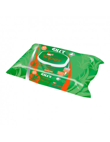 Xl lingettes hygiénifiantes à l'aloe et chlorhexidine 40 unités (30x20cm) gill's