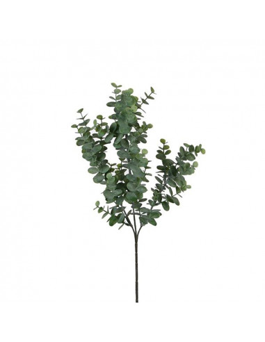 Couleur vert eucalyptus 65 cm