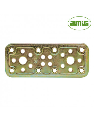 S.of. plaque 500-200x50 acier bicromatado(s) 12121 amig