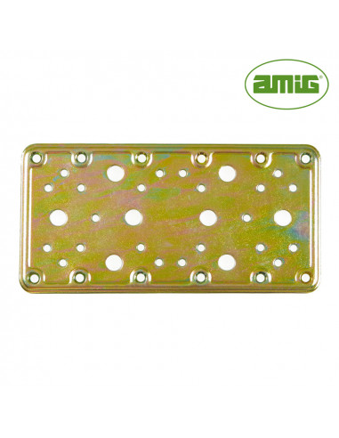 S.of. plaque 503-200x100 acier bicrome(s) 12124 amig