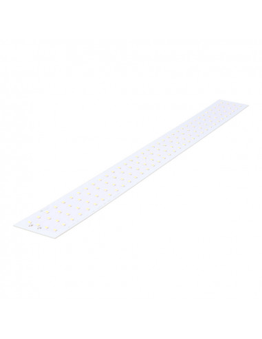 Led de rechange pour 31681