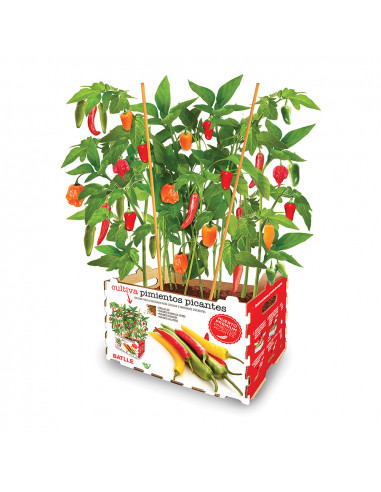 Coffret batlle piments épicés