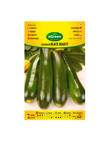 Sachet de graines de courgette black beauty agreen
