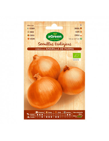 Sachet de graines d'oignon jaune eco parma agreen