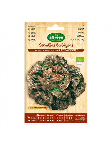 Sachet de laitue eco seeds four seasons agreen