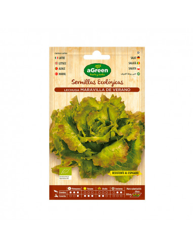 Envelope of eco seeds salad maravilla agreen