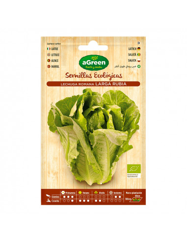 Sachet eco laitue maravilla agreen.