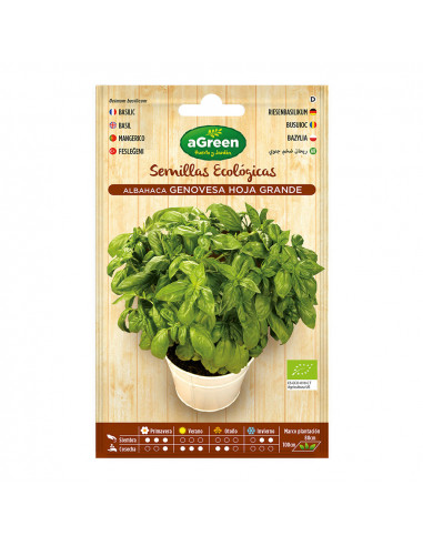 Sachet de graines eco basilic genovesa agreen