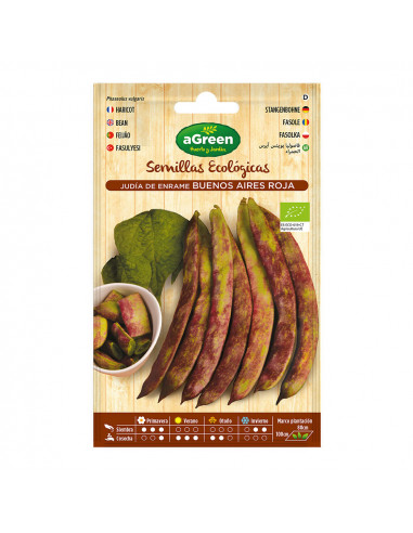 Sachet de graines eco haricots buenos aires red agreen