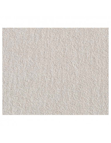 Papier abrasif pour peinture/vernis grain 320 230x280mm 6017000 wolfcraft