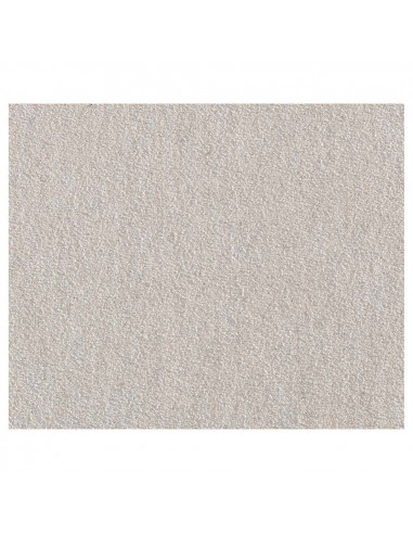 Papier de verre pour peinture/vernis grain 400 230x280mm 6018000 wolfcraft