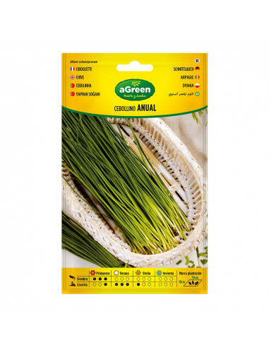 Sur graines de ciboulette annuelle 000239bolsh d'accord