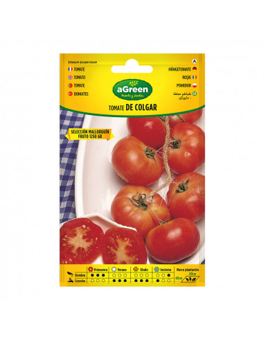 Sur semences suspendues tomate mallorquin 000714bolsh d'accord