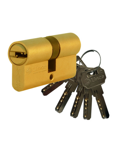 Verin de securite multipoint serie c2, came longue, 32+32mm, laiton 9c253232l lince