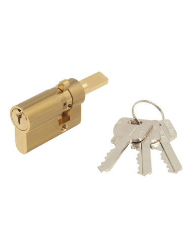 Cylindre europrofil pour serrure 1561 542 mcm