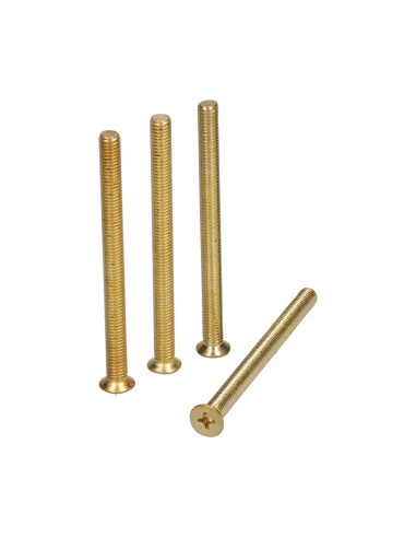 Blister cylindre vis trn16 m5x65mm ltd edm