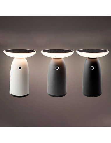 Lampe solaire avec allumage tactile de 22cm couleurs variées 897850