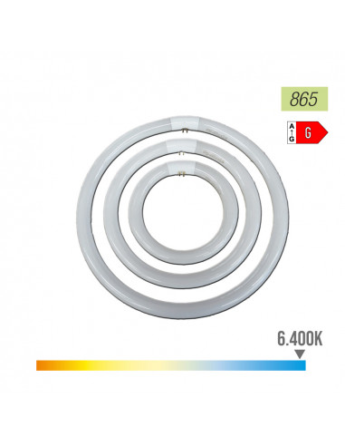 Tube fluorescent circulaire 22w ø21cm triphosphor 865k lumière froide philips