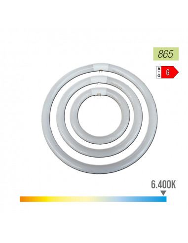 Tube fluorescent circulaire 32w ø30cm triphosphor 865k lumière froide philips