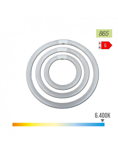 Tube fluorescent circulaire 40w ø40cm triphosphor 865k lumière froide philips