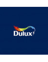 Dulux valentine