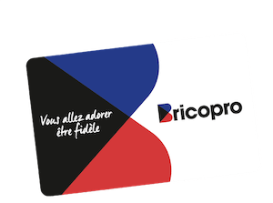 http://www.brico-pro-distribution.fr/modules/iqithtmlandbanners/uploads/images/6021b19353443.jpg